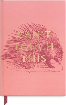 Picture of Notatnik A5/240K linia Cant Touch This
