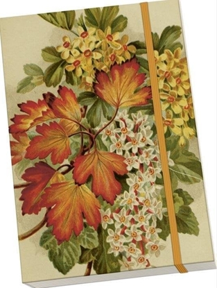 Picture of Notatnik ozdobny A5 STNOTE 127 Jesienne licie