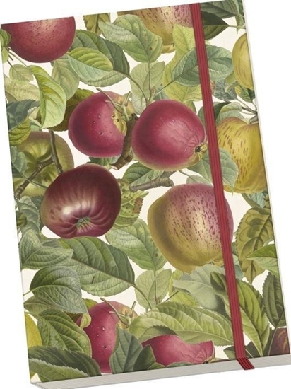 Изображение Notatnik ozdobny A5 STNOTE 128 Jabo