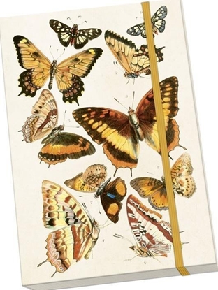 Picture of Notatnik ozdobny A5 STNOTE 132 Motyle