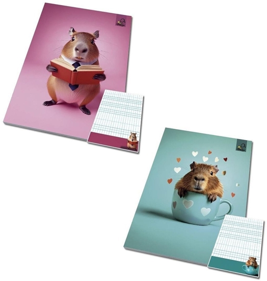 Изображение Notes A6/50K kratka poddruk Kapibara (10szt)