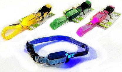 Изображение Obroa dla psa ze wiatem MIX