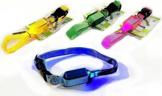 Изображение Obroa dla psa ze wiatem MIX