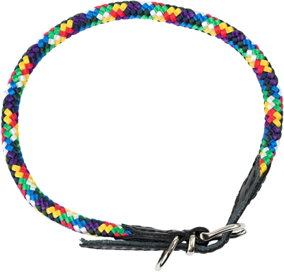 Picture of Obroa dla psa, z klamr, sznurek, 8MM/50CM multikolor