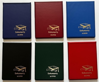 Picture of Okadka na dokumenty 229x87mm (5szt) NARNIA