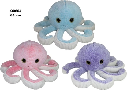 Attēls no Omiernica 65cm MIX