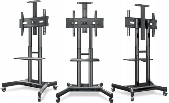 Изображение Onkron Mobilny stojak do TV 40"-70" do 45 kg ONKRON TS1551 Czarny