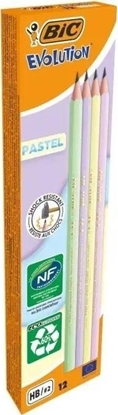 Изображение Oówek bez gumki pastel 12szt BIC