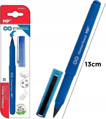 Picture of Oówek wieczny niebieski