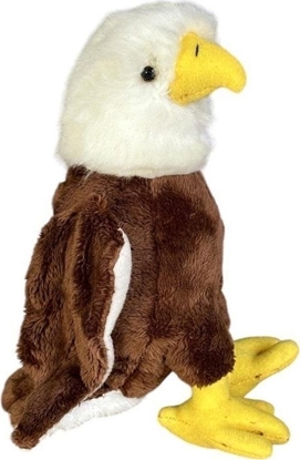 Picture of Orze 16cm