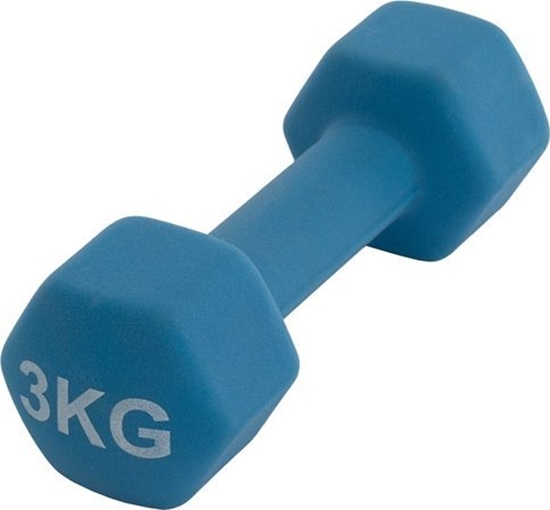 Picture of Outliner VINYL DUMBBELL LS2001 3KG