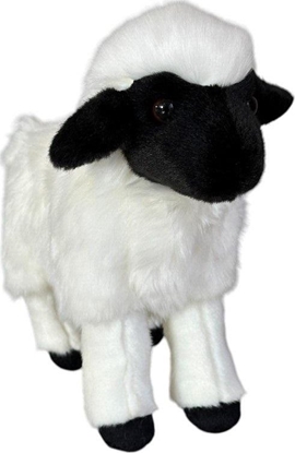 Picture of Owca czarno-biaa 25cm