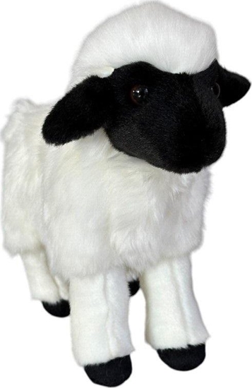 Picture of Owca czarno-biaa 25cm