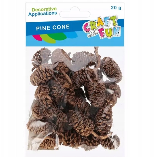 Изображение OZDOBA NATURA SZYSZKA 20G CF PBH 12/144