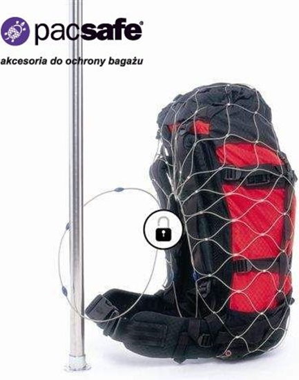 Picture of Pacsafe 55L (PPA10170999)