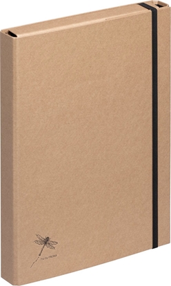 Picture of Pagna 21316-11 bez kategorii