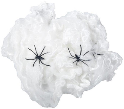 Изображение Pajczyna wiecca z pajkiem 28g