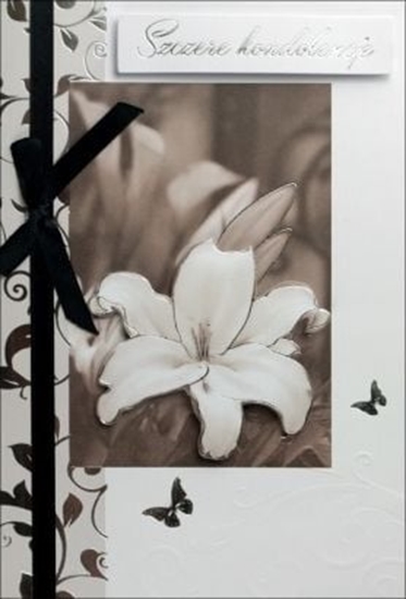 Picture of Pan Dragon Karnet B6 kondolencje lilia HM-200-1286