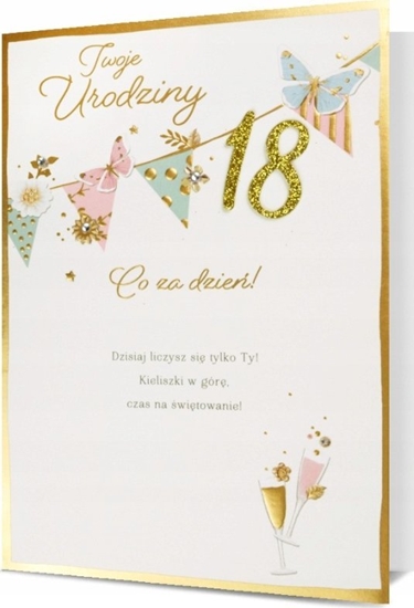 Picture of Pan Dragon Karnet B6 Osiemnastka