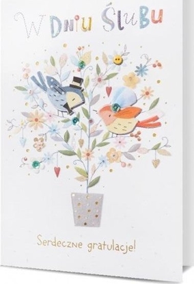 Picture of Pan Dragon Karnet lub