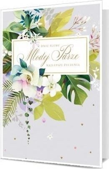 Picture of Pan Dragon Karnet lub K. B6-1874