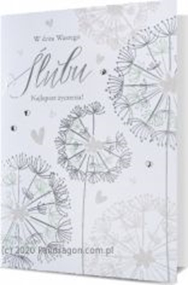 Picture of Pan Dragon Kartki karnet B6 HM 200-2079 lub Pan Dragon