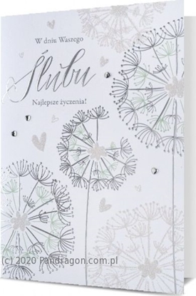 Picture of Pan Dragon Kartki karnet B6 HM 200-2081 lub Pan Dragon