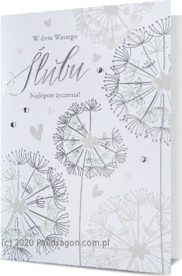 Picture of Pan Dragon Kartki karnet B6 HM 200-2081 lub Pan Dragon