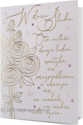 Picture of Pan Dragon Kartki karnet B6 HM 200-2082 lub Pan Dragon