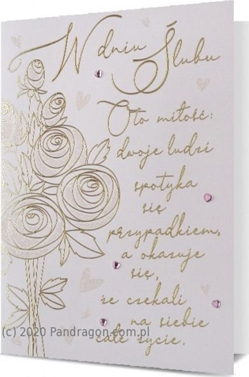 Picture of Pan Dragon Kartki karnet B6 HM 200-2082 lub Pan Dragon