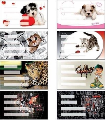 Picture of Panta Plast Naklejki na zeszyt Girls 24szt.