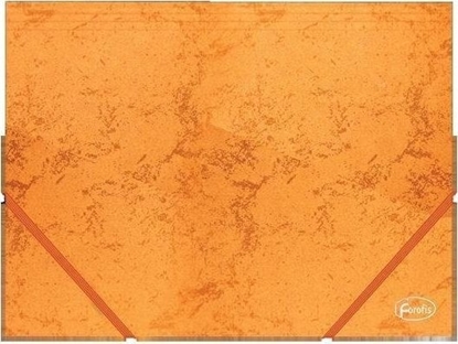 Attēls no Panta Plast Teczka na gumk A4 kartonowa pomaraczowa