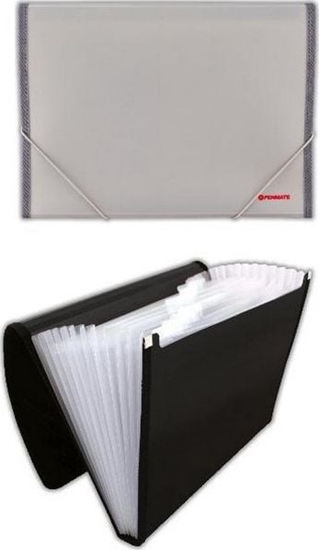 Picture of Penmate Aktówka 12 przegródek PP-4302 szara PENMATE