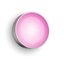Picture of Philips Hue WCA Daylo Outdoor Wall Lantern, Inox | 15 W | 2000-6500 Hue White Colour Ambiance