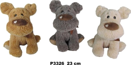 Picture of Pies 23cm MIX