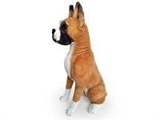 Picture of Dubi Pies Bokser 65cm