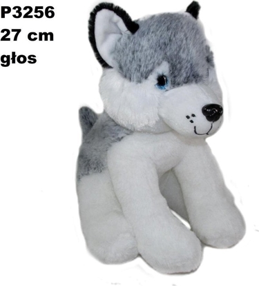 Attēls no Pies husky z gosem 24cm