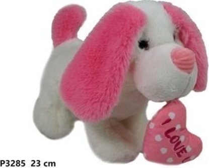 Attēls no Pies z sercem 23cm