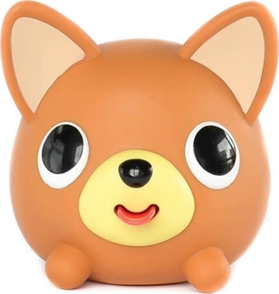 Picture of Piesek chichuachua do ciskania