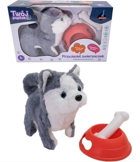 Picture of Piesek na baterie z akcesoriami