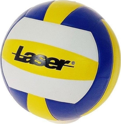 Изображение Pika siatkowa klejona