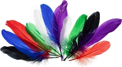 Picture of Piórka gsie jaskrawe 15-20cm