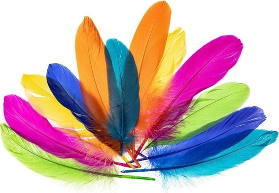 Изображение BREWIS Piórka gsie nowy 15-20cm