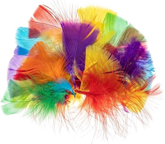 Picture of Piórka indycze trójktne 5-10cm