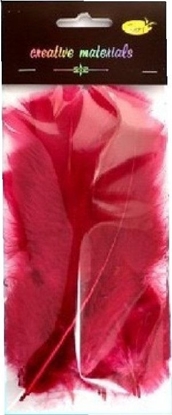 Picture of Piórka mikkie bordowe 15szt