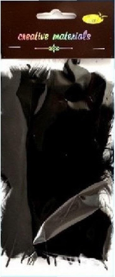 Picture of Piórka mikkie czarne 15szt