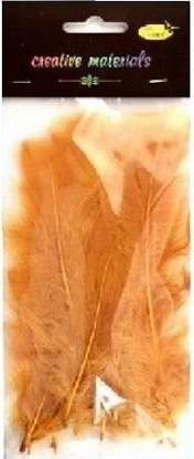 Изображение Piórka mikkie jasnobrzowe 15szt