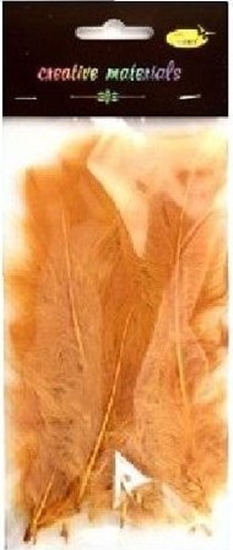 Изображение Piórka mikkie jasnobrzowe 15szt