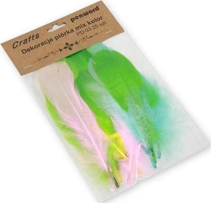 Attēls no Piórka mix 10-13cm 25szt