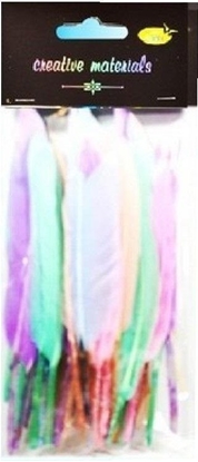 Attēls no Piórka twarde 15cm 50szt